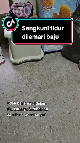 Jam makan siang,panik nyari kemana mana taunya disini,ada aja tingkahnya bah! kukasi liat boss malah bilang 