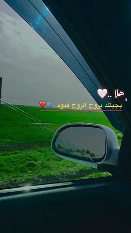 #هلا_بجيتك_ياروح_الروح_فدوة ❤️🫂#خليت_حراس_ثنين_يم_بابك❤️ #ابن_الريس_رجع_ع_لساحة🔥🎭 #ستوريات_ابن_الريس🔥👑  #كلي_شوكت_تنتهي_يكلبي_صفناتك❤️‍ #ستوريات_ابن_الريس🔥👑 #ابن_الريس_رجع_ع_لساحة🔥🎭 ##الشمس_متغير_تفاصيل_السمر🖤😫 #ولصعد_على_علوت_هرته_وهز_الرايه #سميني_عاشق_مجنون #فيديوهاتي_تصاميمي🎶🎬 #بدون_هشتاق #بدون_حقوق #ام_الشهداء_جنوب_الموصل #العراق_السعوديه_الاردن_الخليج #اكسبلور #ليبيا🇱🇾 #قرية_تلول_المهار #الشعب_الصيني_ماله_حل😂😂 #وادي_الكصب #ياشوك_وديني_الهم #اجواء_الشتاء #جنت_احسبك_ليه_دوم💐🧏🏻‍♂️ #ربيع #اجواء_خيالية 