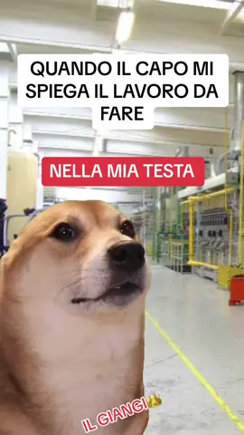 #MemeCut #operaio #lavorodeldomani #viraleeeeeeeeeeeeeeeeeee #neiperte #voliamoneiperte #andiamoneiperte #Meme #MemeCut 