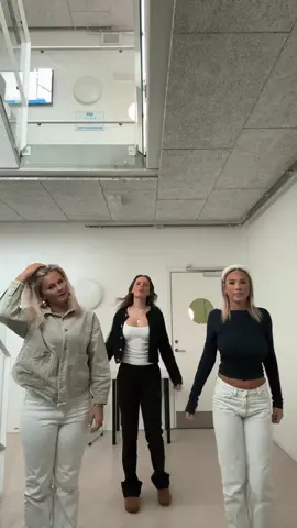 @Bezzelt @Laura 👯#fypシ #viral #scandinavia #makeusfamous 