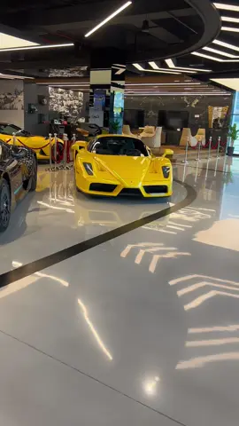 #foryoupage #foryou #vira #~186~ Ferrari~ Lamborghini~ Mercedes AMG ~186~