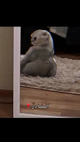 #الجسم كنه من جبل ثلج منحوت#استغفر الله ي الشاعر 