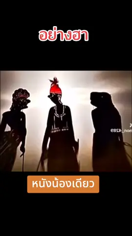 #มึนหมด #หนังน้องเดียว #อย่างฮา #แหลงเองมึนเอง #เทรนด์วันนี้ #หนังตะลุง 