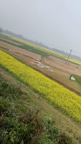 #bangla #fyp #foryou #tiktok #bangladesh #village 