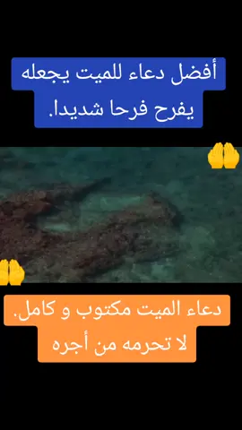 ## افضل دعاء للميت يجعله يفرح فرحا شديدا. لا تحرمه من أجره. 