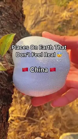 Our Awesome World