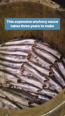 It takes 50 to 60 pounds of fresh anchovies to make just a liter of anchovy sauce. #fish #anchovies #italy 