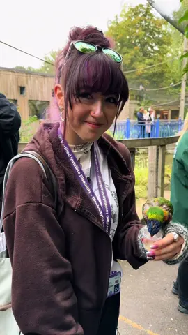 throwback thursday😌 september 2022 at @Chessington World ofAdventures !🦜🌱🌴 #fyp #birds #zoo #tourettes #chessingtonworlofadventures #foryou 