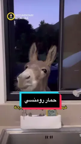 خفت يقول إسمي للصراحة😅🤣🫏 #documentary_aldaheka #nationalgeographic #alaaghannam #voiceover 