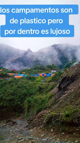 #campamento#mina #selva 