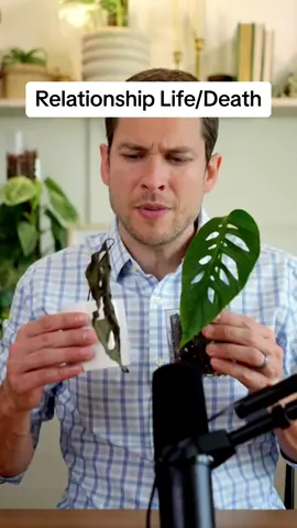 What Destroys our Relationships? #relationships #datingadvice #husbandwife #marriage #plants 
