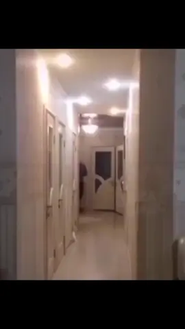 Skeet #funny #fyp #viral #haha #cat #rollerskating #russian #easterneuropean #europe 