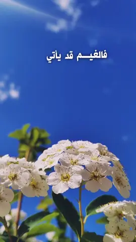 #تصميم  #ان_المظاهر  #اناشيد_بدون_موسيقى #tasamim66 #تيك_توك #foryou 