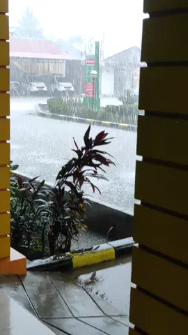 #mentahan #hujan #masukberanda #fyp #fyppppppppppppppppppppppp 