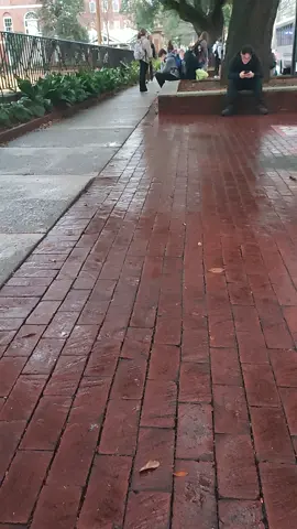 University of South Carolina 🇺🇲#pakkstaniinamerica #america #followback #usa 