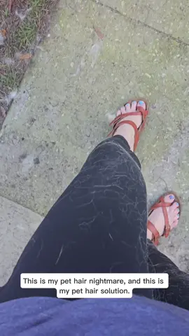 The #pethair  nightmare with black leggings are finally over! I absolutely Love these Patitoff leggings from Harlara!  #PetsOfTikTok #dogsoftiktok #gsd #gsdoftiktok #dogs #catlover #sheddingseason #doghair #nomorelintrollers #huskylife #sheddingdog #goldenretriever #goldenretrieverlife 