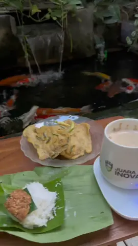 Ngopi pinggir kolam #fish #reflexion #ikan #koi #kolam #pond #masyaallahtabarakkallah #morning 