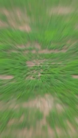 #CapCut  usina fotovoltaica São Gonçalo #energia #energia limpa 