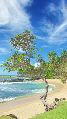 Liburan #pantaiairlangkap #pantaikaurbengkulu #bengkulutiktok #pantaikaur 