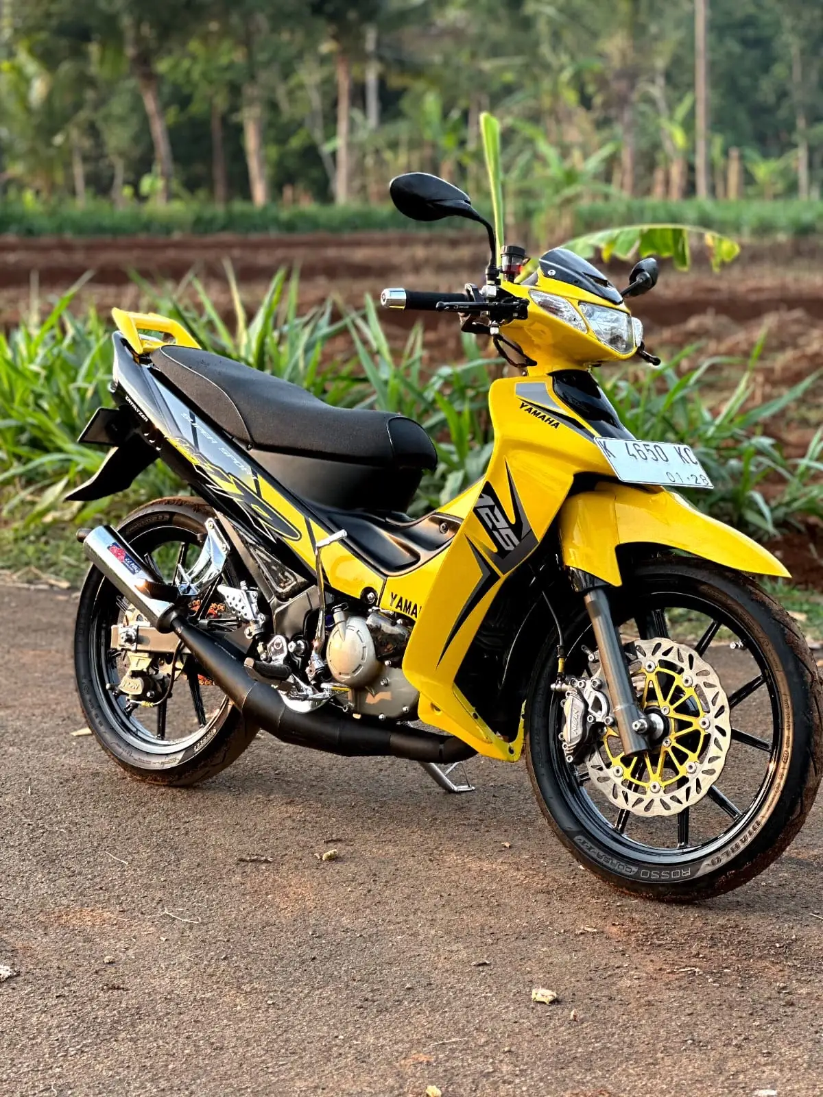Si tupai kuning emang ganteng yaa 🐿️😎 #125zr #yamaha125zr #yamaha125z#yamaha125zrmalaysia #2strokelover #fypシ 