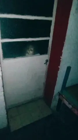 NECESITO AYUDA, QUE SE TERMINE DE UNA VEZ 😨😨 #terror #pactodemonios #niñofantasma #fantasmas #paranormal #paratii #fyp #fyppppppppppppppppppppppp #longervideos 