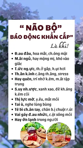 Não bộ Báo động khẩn cấp Là khi? #meohay🇻🇳🇧🇷 #xuhuong2023tiktok❤️🌈✔️ #viraltiktok #tredding #namduocchogiadinh #phunuvietnam #suckhoe #comau4vi #hellovietnam 