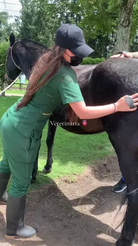 La mejor decisión de mi vida 🫀 #veterinaria #vet #veterinarian #animals #medicinaveterinaria 