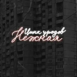 Начало песни Цинк уродов , нежная , для тик токов , трек является не моим  #нежная #музыка 