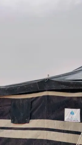 #سماوه_ولايتي #تيك_توك #المزرعة 