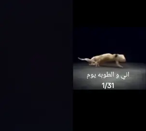 #دويتو مع @م᭭هྂྃديᩬ 😈⁞❥ #كره_القدم_قصه_عشق_لاينتهي🤩 