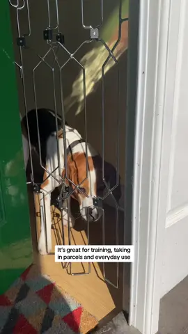 Replying to @Garage3150 Folding the gate away is incredibly easy. You can do this one handed! 🤚  For details on the gate please visit the links in our Bio 🐾🛡️