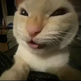 #gombal #rizz #lucu #katakata #fyp 