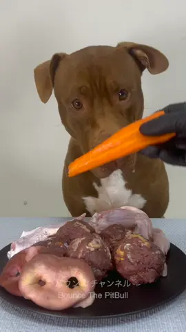 Dog eating mukbang ASMR#asmr #Mukbang #fypシ #viral 