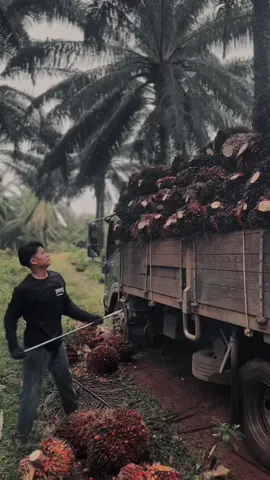 Marak unin m aku doank isik m kangen,lguk kmbe nni brubah??? #lomboktiktok #lomboktrending #kulisawit #sawit #lombokfyp #xbcyza #fypシ #lomboksad🥀 #sawitontiktok 