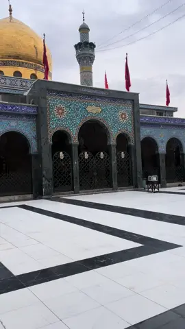 #السيدة_زينب #مقام_السيدة_زينب #مسلم_الوائلي 