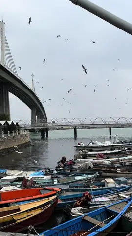 زارتناً الاأيام الجميله ع هيئة مطر🤍🌧️#مط #كورنيش_شط_العرب #البصره_شط_العرب  #غيوم 