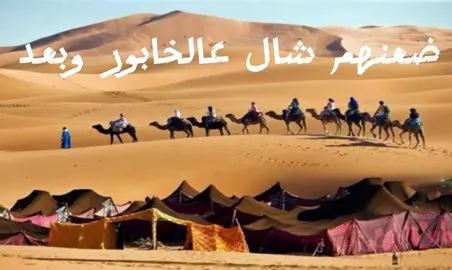 #عدويه_البياتي #ضعنهم_شال_على_خابور_وبعد #حويجه #حويجه_كركوك 