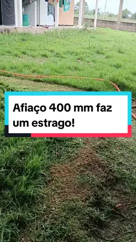 #jardinagem #jardim #roçadeiraagasolina #jardin #roçando #roçar 