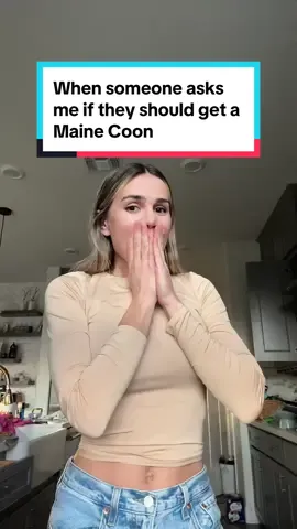 #mainecoon #catsoftiktok #catbreeds #mainecoonlover #foryou #fyp 