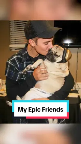 Welcome to the sitcom that is Doug The Pug’s life! Who do you want him to meet next? 🥰 #dougthepug #famous #billieeilish #justinbieber #colesprouse #dogsoftiktok #celebrity #strangerthings #gretavanfleet 