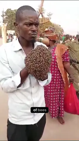 The Bee Whisperer: Ugandan Healer's Magical Intervention Leads to Arrest of Bike Bandit #fyp #magic #blackmagic #africa
