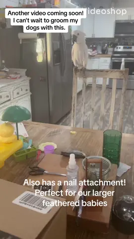 I can't wait to use this item on the dogs!! #tiktokshop #dogsofttiktok #groomingtips #afloia 