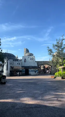 Welcome to Batuu 🥹✨ #disney #disneyworld #waltdisneyworld #wdw #disneylife #orlando #florida #hollywoodstudios #galaxysedge #starwars #starwarsfan #Capcut 