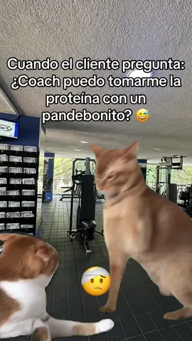 Levanten la manos los instructores que han escuchado este tipo de ocurrencias de sus clientes 😂😂😂, enserio no nos cansamos de de ir que amamos sus ideas 🤭 #humorgym #humor #gymtime #humorfitness #Fitness #gimnasio #gimnasioscali #cali 