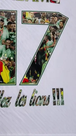 Maillot senegal plus flocage en image (dtf) 📞00221770523858 Livraison partout dans le monde
