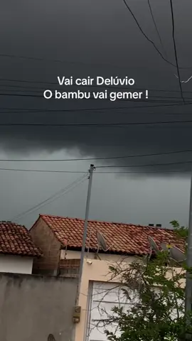 As trovoadas estao chegando, o bambu vai gemer. #chuvas #bahia #trovoadas 