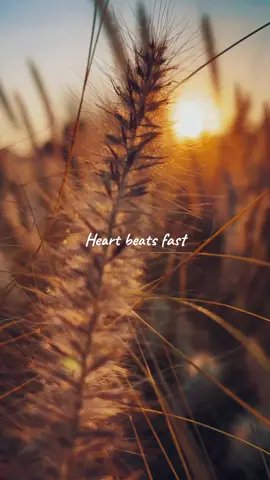 A Thousand Years.... Christina Perri #fyp #christinaperri #lyrics #slowedsongs 