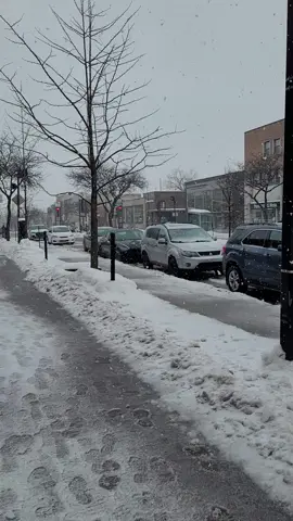 #snow  #ثلج  ما أجمل المشي تحت الثلج 😍