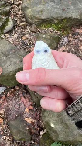 Me and my pet rock Fredrockson had a GREAT time hiking!! #Vlog #funny #silly #quirky #hot 
