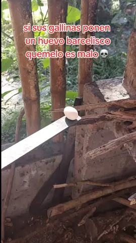 #aguilarcomedias #tiktok #fyp #soycreador muchas personas dicen que es malo